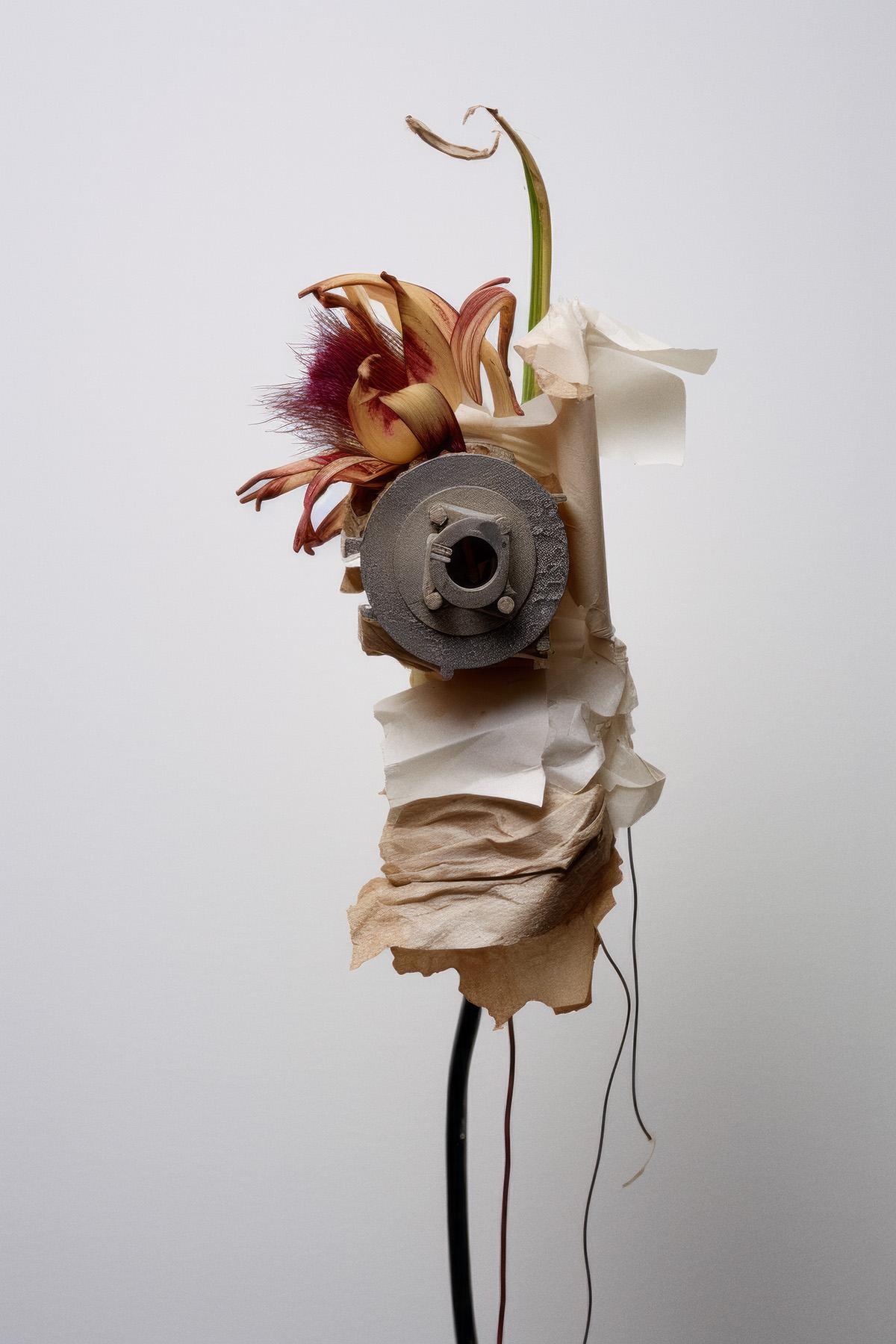 post nuke posies