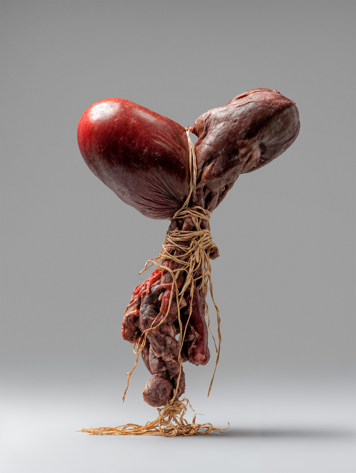Meat Balloon