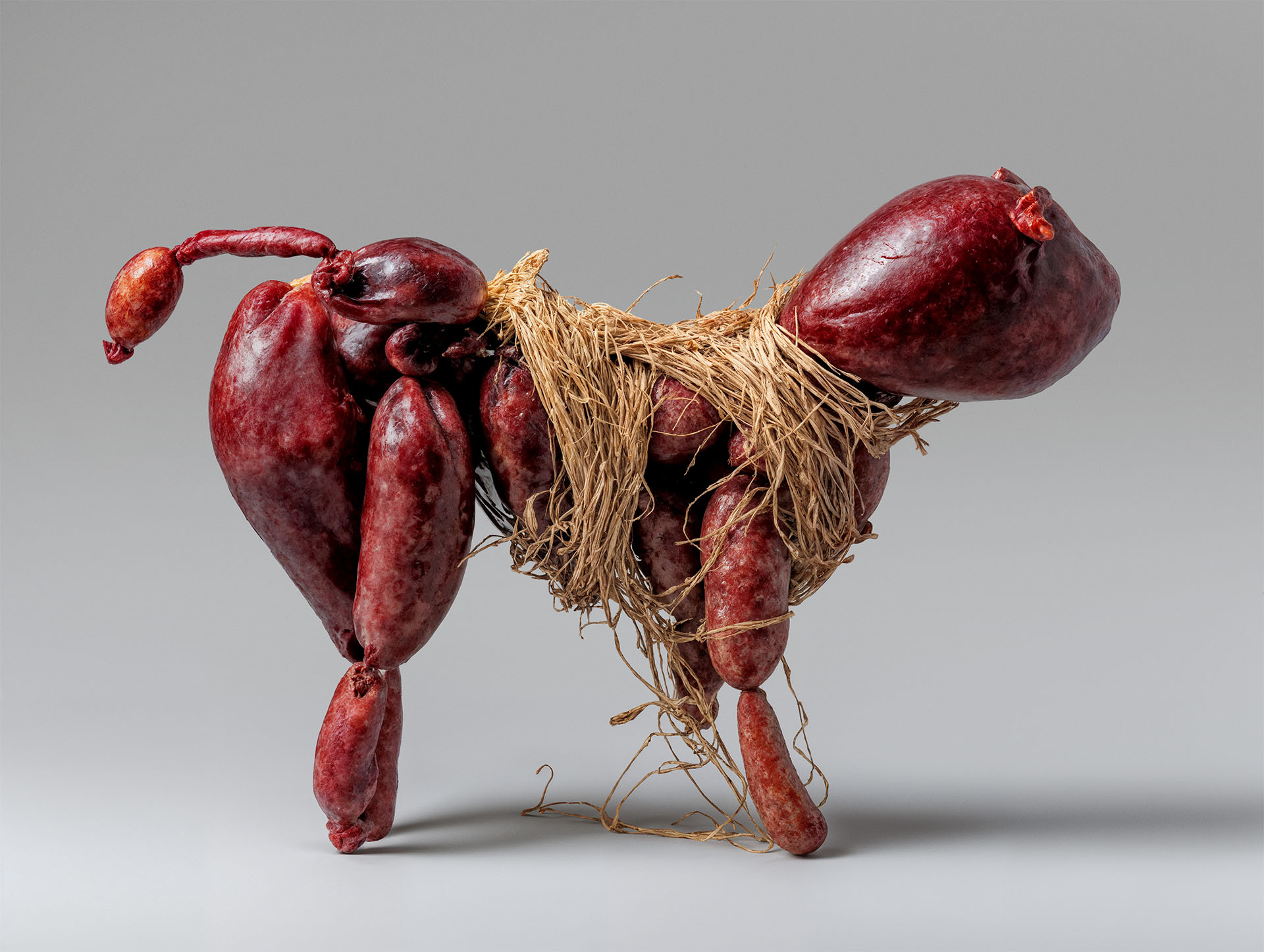 Meat Cat 01