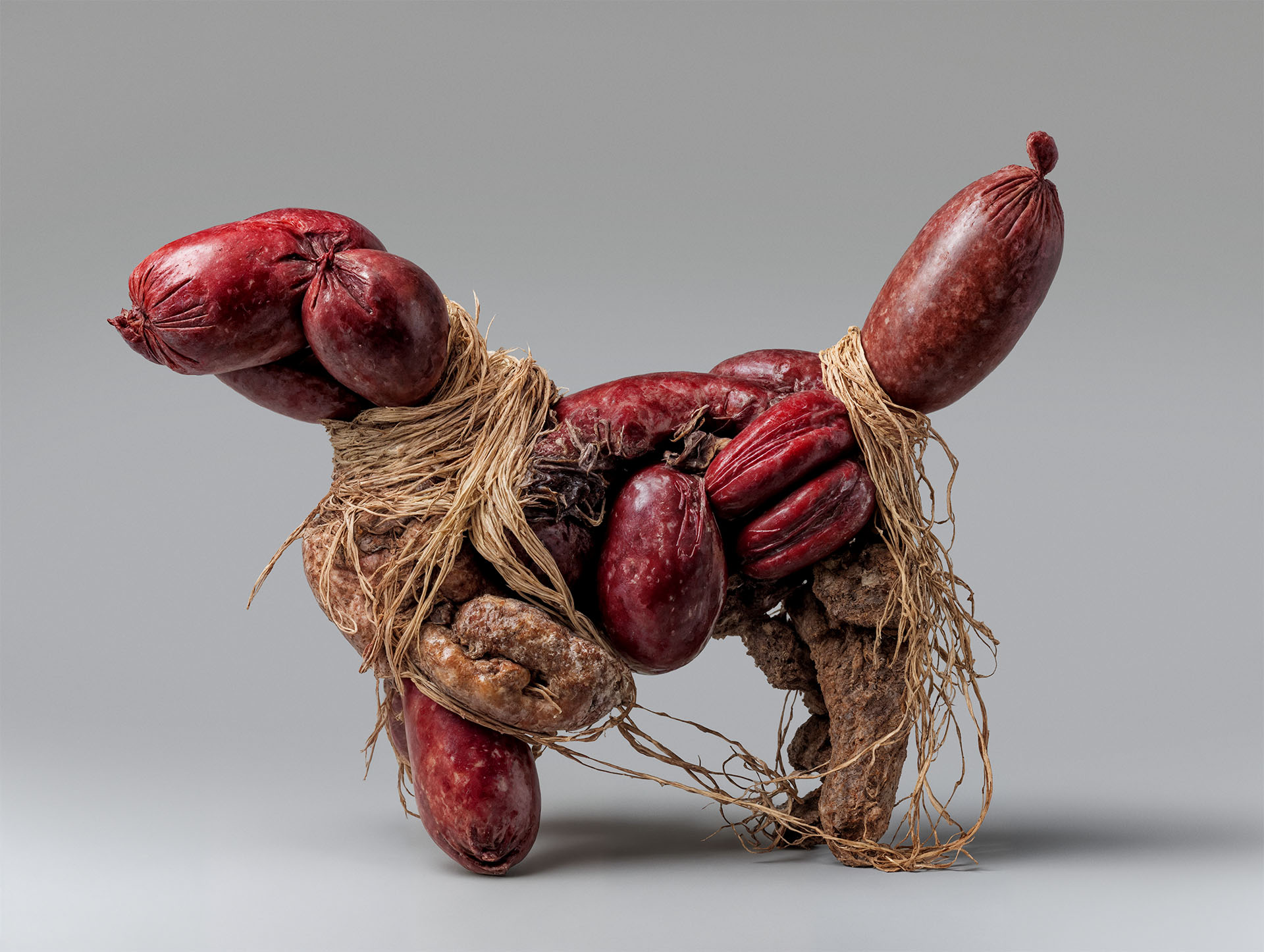 Meat Dog 01