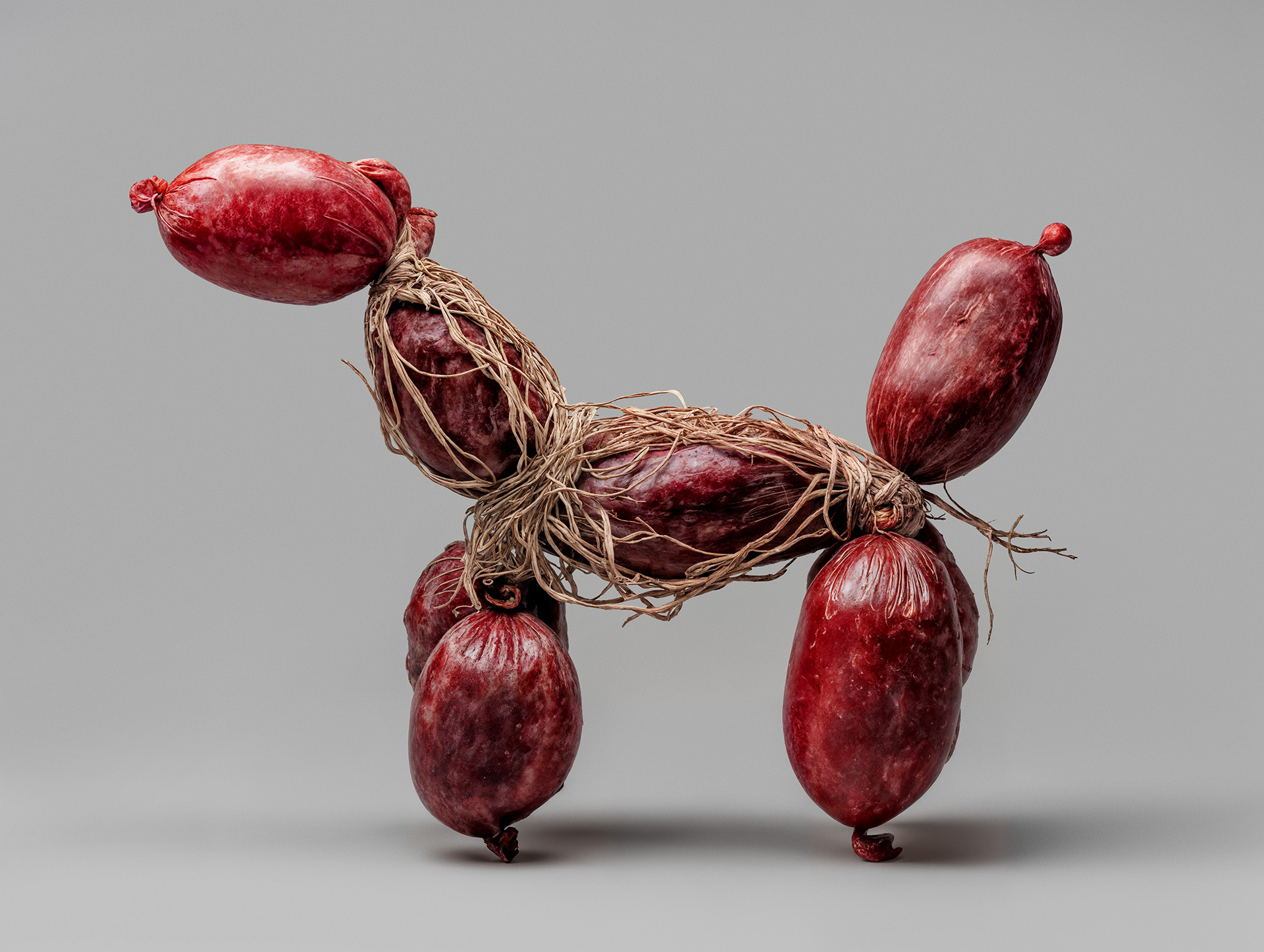 Meat Dog 04