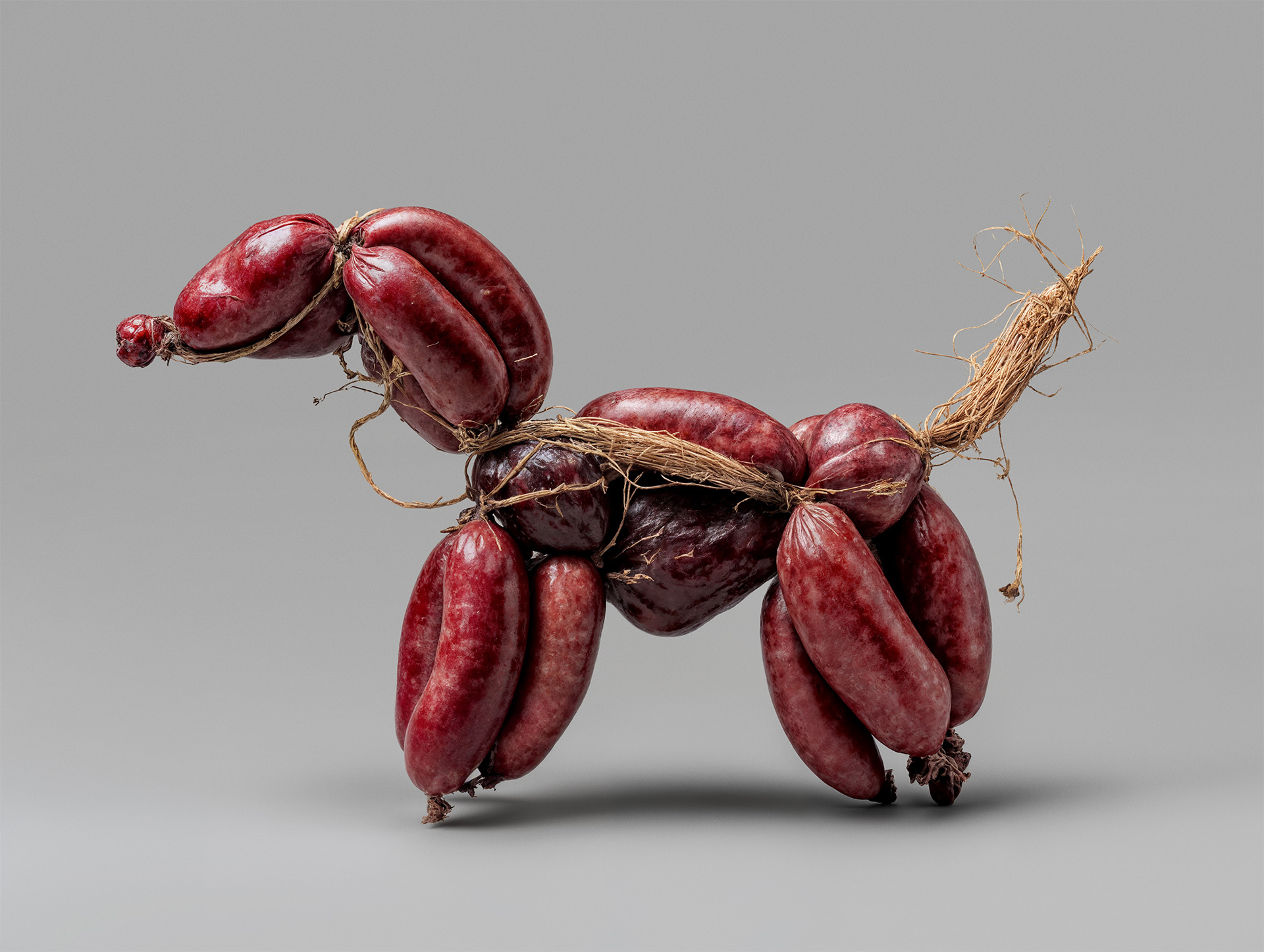 Meat Dog 06